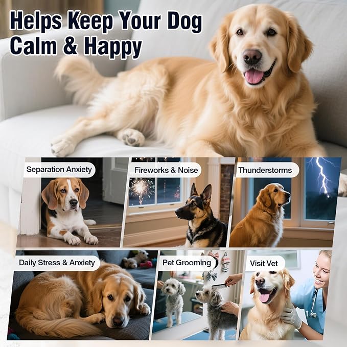 Calming Chews for Dogs 200 ct Hemp Dog Calming Chews - Anxiety and Stress Relief Treats Melatonin Bites Sleep Aid for Small/Medium/Large Dogs Calm Dog - Separation, Fireworks, Thunder, Barking,Orange