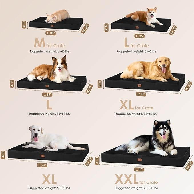 EHEYCIGA Memory Foam Dog Bed Orthopedic 30"x20"，Waterproof Pet Bed for Medium Dogs ，Washable Pet Mat with Removable Cover, Black