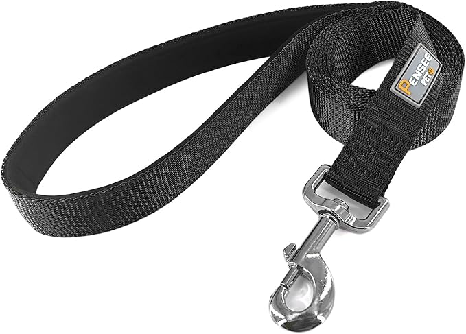 Basic Dog Leashes 6 FT Padded Handle Nylon Dogs Leashes for Small Dogs Black