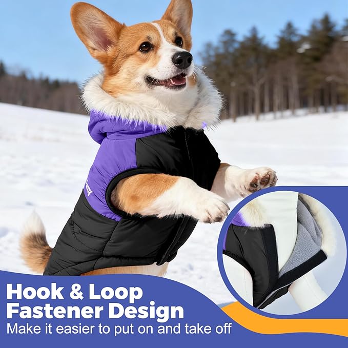Dog Winter Coat with Hood, Fleece Lined Waterproof Dog Jacket,Warm Snowsuit for Small Medium Dog