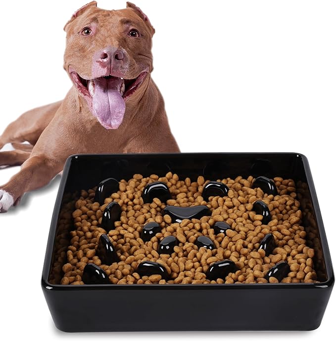 Square Slow Feeder Dog Bowls, Ceramic Fun Slow Eater Bowl for Small Medium Breed (Black)