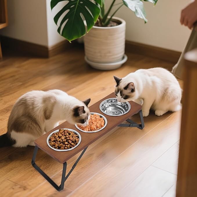 Elevated Cat Bowls, 10° Tilted Stand Anti Vomiting Raise Cat Bowl for Food and Water, 3 Stainless Steel Bowls for Indoor Cats, Kitten and Puppy