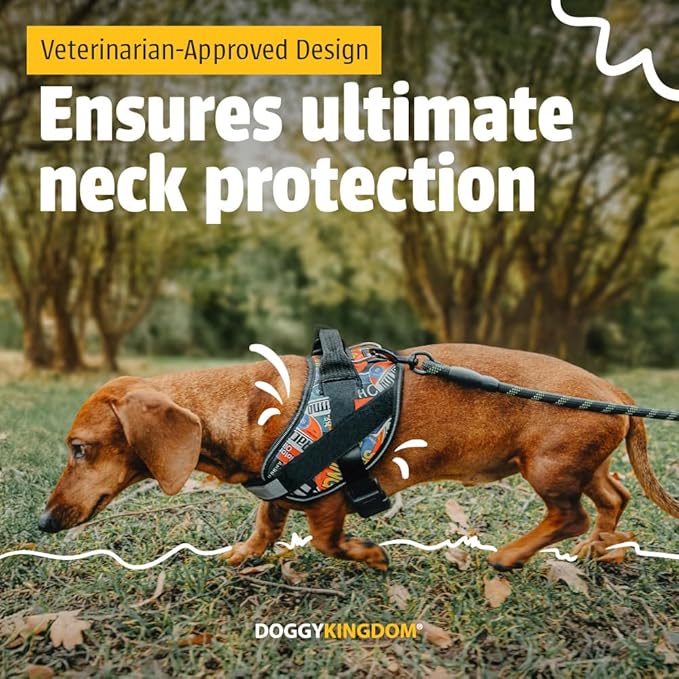 Non Pull Dog Harness with Patch Panels and Handle, Adjustable, Reflective, No Choke, Heavy Duty Easy On Service Dog Vest Harnesses for Medium Large Small Sized Dogs - Orange, XL
