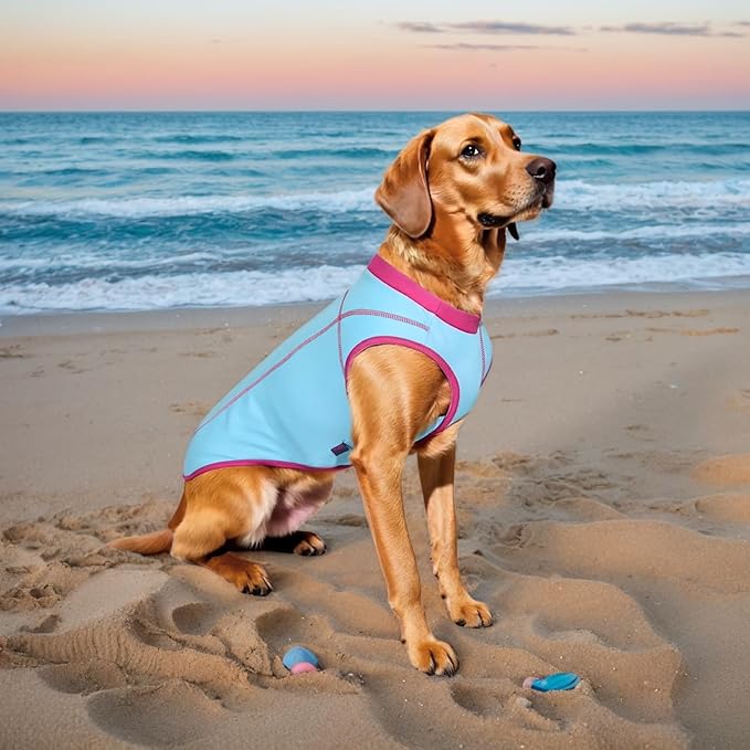 2 Pack Dog Summer Clothes Color Blocking Dog Shirts for Medium/Large Dogs Stretchable Doggy Cooling Vest Breathable Sun Protection Shirt Fashion & Bright Color for Boys Girls