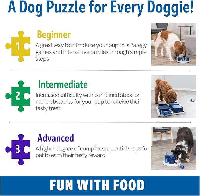 Trixie Gamble Box Dog Enrichment Toy, Beginner Level 1 Dog Puzzle, Interactive Treat Game