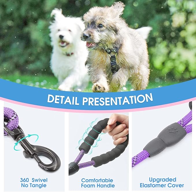 BAAPET 2/4/5/6 FT Dog Leash with Comfortable Padded Handle and Highly Reflective Threads for Small Medium and Large Dogs (5FT-1/3'', Purple)