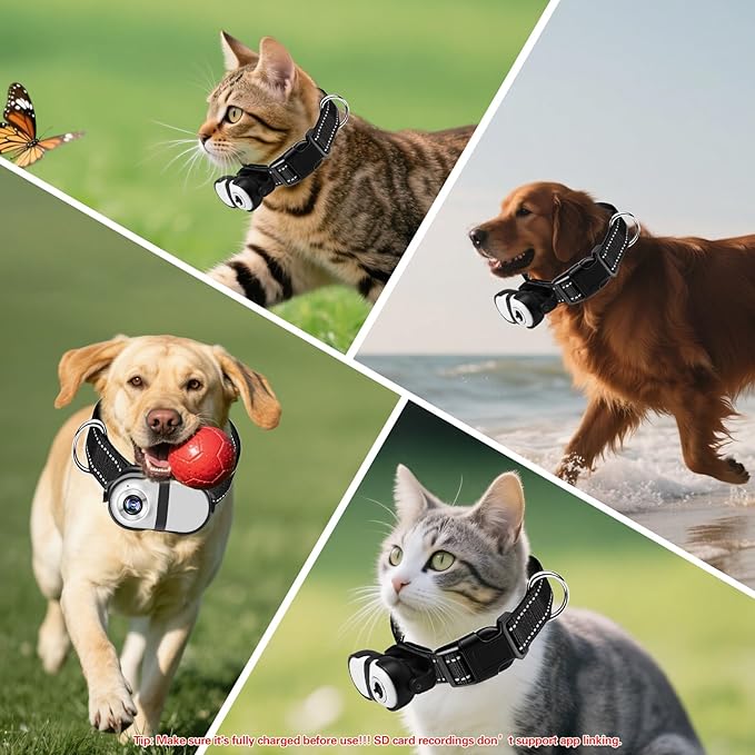 HD 1080P Cat Camera Collar with Video Record Wireless Mini Sport cam,Small Action Cameras,Body Camera for Pet Supplies/Stuff,Outdoor/Inoor Birthday Gift No WiFi
