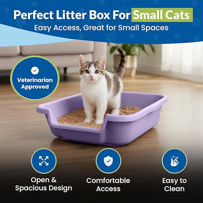 KittyGoHere Senior Cat Litter Box, Small Litter pan, Open Top Low Entrance Kitty Litter Box, Lightweight Low Entry Litters Box, Durable, Made in USA (Storybook Lavender)