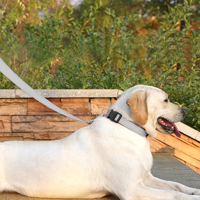 Dog Leash 6 FT Padded Handle Nylon Reflective Dogs Leashes for Medium Dogs Silver
