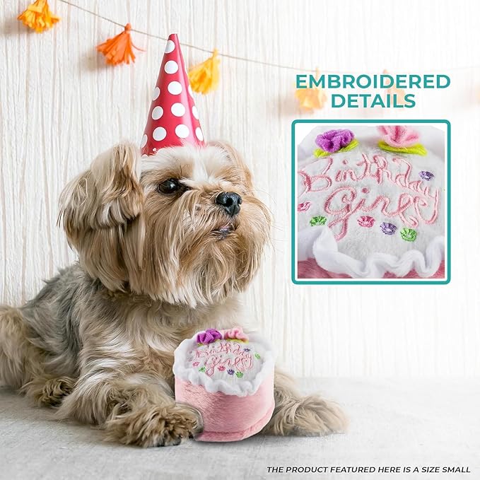 Haute Diggity Dog Birthday Girl Cake, Plush Designer Dog Toys with Interactive Squeaker, Stimulating Pet Enrichment, Machine-Washable & Safe Materials for All Breeds, Size Large
