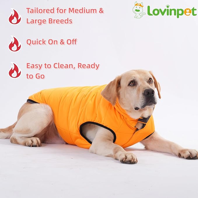 LovinPet Reversible Dog Puffer Coat for Medium & Large Dogs, Down‑Insulated Winter Jacket, Water‑Resistant & Wind‑Resistant, Anti‑Static, Dual-Sided Orange & Grey for Cold Weather,L