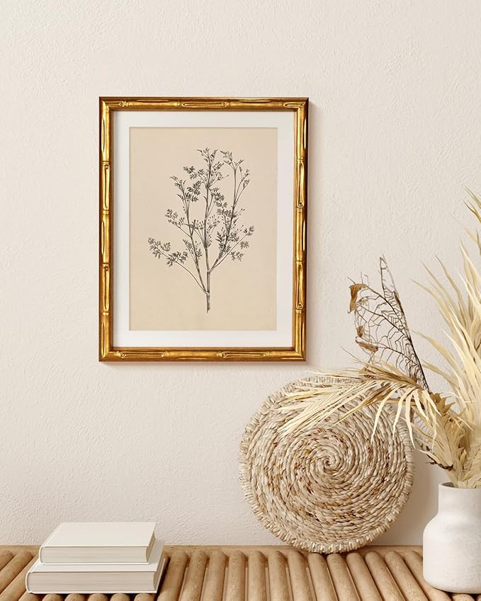 Vintage Botanical Gold Bamboo-Textured Framed Canvas Wall Art, 11x14 Inch Black White Plant Illustration Sketch Print, Classic Minimalist Line Artwork Home Office Bathroom Bedroom Decor