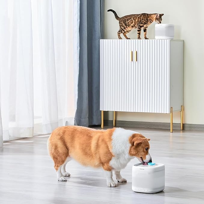 PAWGETHER® 4 Pcs Cat Water Fountain Filter Compatible with 67oz / 2L Dog Water Fountain P3/P3s/P3SU Pet Water Fountain Replacement Filter