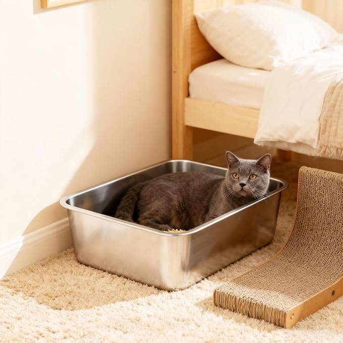 Medium Stainless Steel Cat Litter Box, Open Top Easy Clean Metal Litter Pan — Durable Metal Litter Box with High Sided Walls, No Odor, Non Stick for Indoor, Multi-Cat Homes, Rabbits & Small Pets