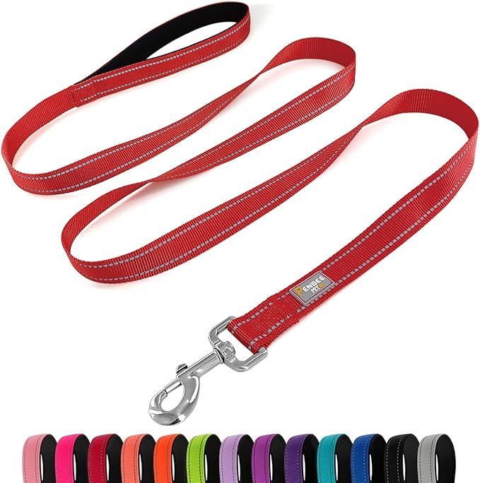 Dog Leash 6 FT Padded Handle Nylon Reflective Dogs Leashes for Large Dogs Red