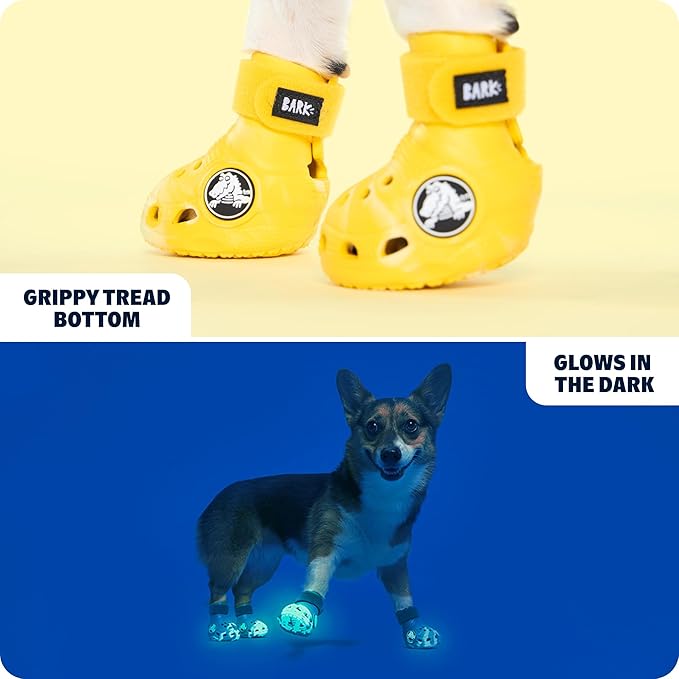 BarkBox Yellow Crocs Dog Shoes – Set of 4 Glow-in-The-Dark Dog Booties with EVA Foam, Adjustable Strap & Non-Slip Sole – Comfortable Paw Protection for Small Breeds (15–25 lbs)