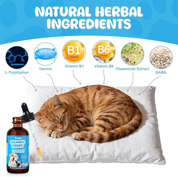Cat Melatonin Natural Calming Liquid - 60ML Calming Drops for Dog for Anxiety & Stress Relief - Separation, Thunder, Fireworks Support - Calming Pet Supplement for Small Large All Breeds