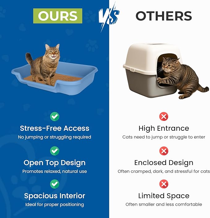 KittyGoHere Senior Cat Litter Box, Large Litter pan, Open Top Low Entrance Kitty Litter Box, Lightweight Low Entry Litters Box, Durable, Made in USA (2 Pack - Little Boy Blue)