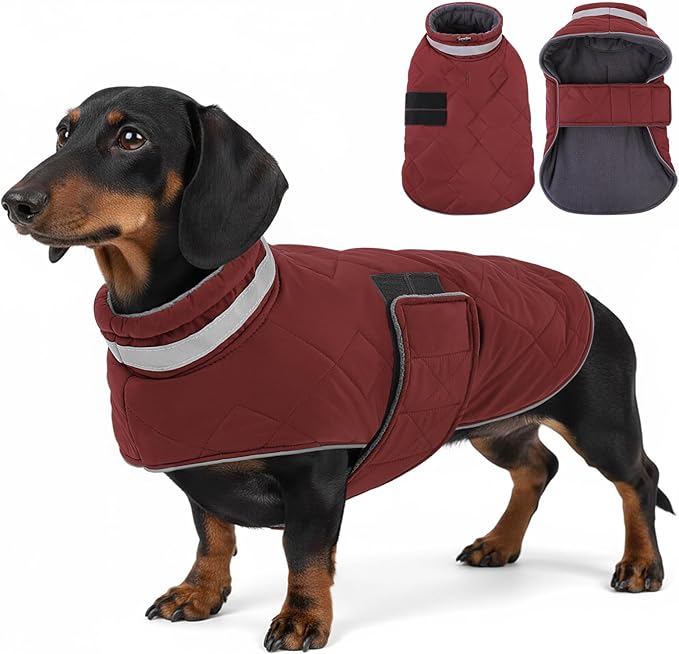 Dog Winter Coat Warm Padded Puppy Jacket Windproof Water Resistant Clothes for Small Medium Large Pets Christmas Sweater Outfit Vest(Red, M)