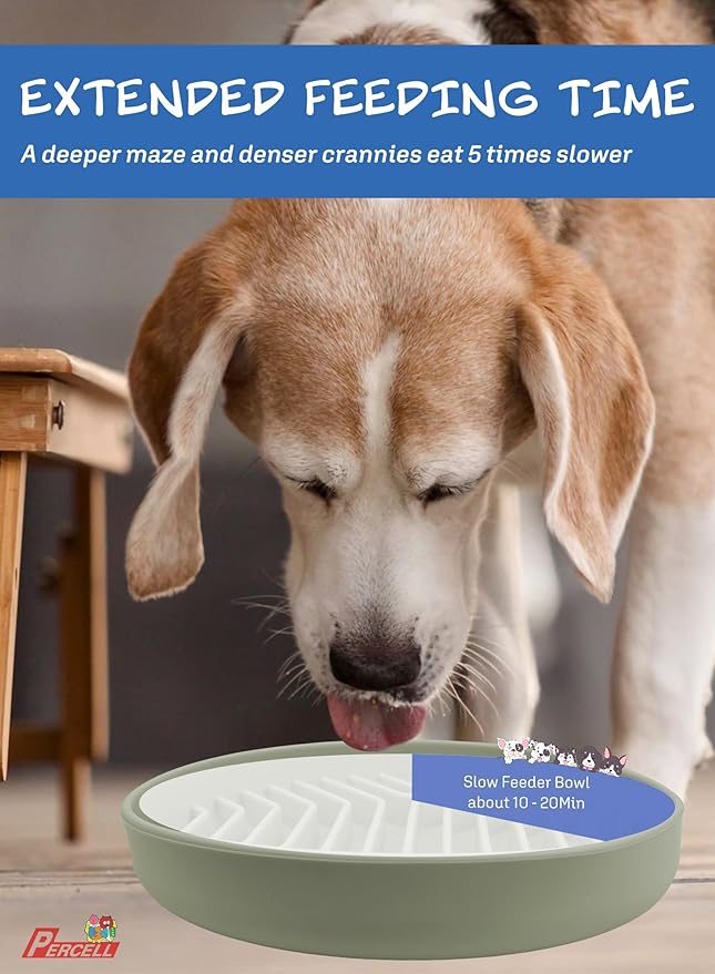 Slow Feeder Dog Bowl with Suction Cups - Non-Slip Silicone Strip Maze Design for Dogs (Light Green)