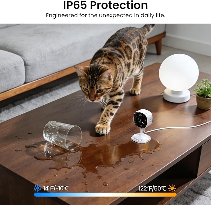 2K Cameras for Home Security-Outdoor/Indoor Camera for Dog/Cat/Pet/Nanny/Baby/Elderly, Color Night Vision, White Light, Siren, 24/7 SD Recordings, Works with Alexa, Plug in (C1-White-1pack-2.4G)