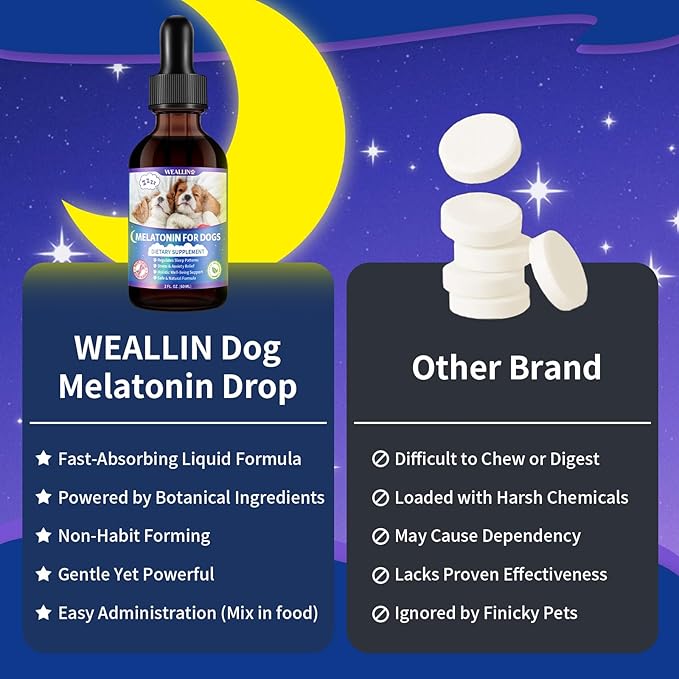 Melatonin for Dogs with L-Theanine & Chamomile | Anxiety Relief & Calming, Relaxation & Sleep Support Liquid Dog Melatonin | Fast-Absorbing & Bacon Flavor (1 PC)
