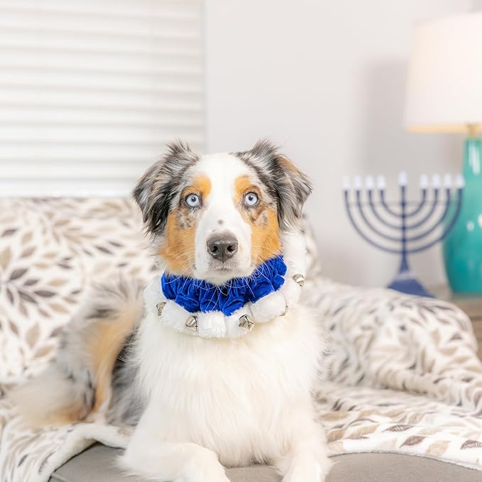 Huxley & Kent Ruff Pet Scrunchy | Hanukkah (Extra-Small) | Festive Christmas/Holiday Neckwear for Dogs/Cats | Fun Stretchable Costume Accessory | Soft Collar with Bells