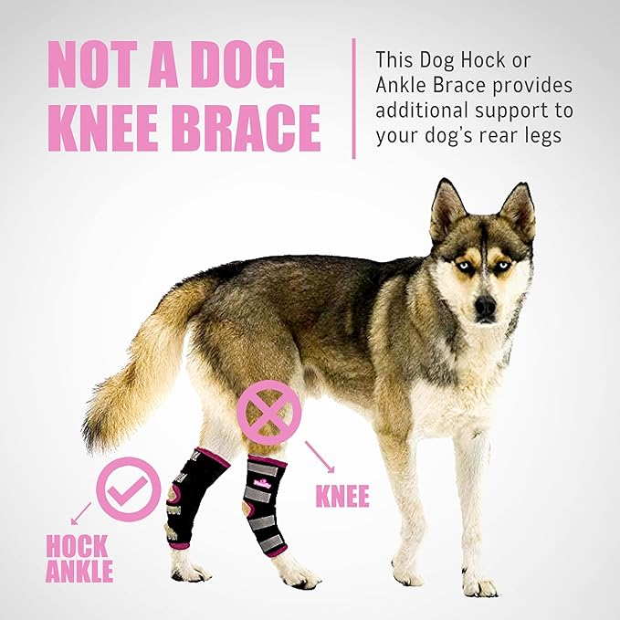 NeoAlly Dog Rear Leg Braces [Long Version] Canine Hind Hock Support with Safety Reflective Straps for Joint Injury, Sprain Protection, Wound Healing and Loss of Stability from Arthritis (Pink L Pair)