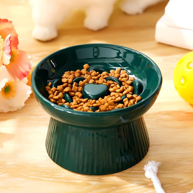 Tioncy 2 Pcs Raised Cat Slow Feeder Bowl Ceramic Elevated Cat Dog Food Bowl No Spill High Edge for Dry Wet Food and Water Easy to Clean, Dishwasher Safe (Dark Green)