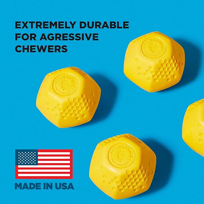 PROJECT HIVE ·PET COMPANY· - Hive Balls 2 Pack - Dog Balls - Toy for Large and Medium Breeds - Great for Fetch - Floats in Water - Durable and Tough for Aggressive chewers - Made in The USA