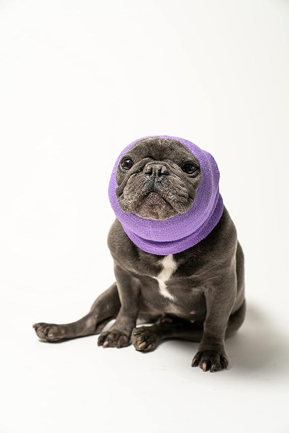 Pet Hoodz PHML Pet Hoodies, Lavender - Medium