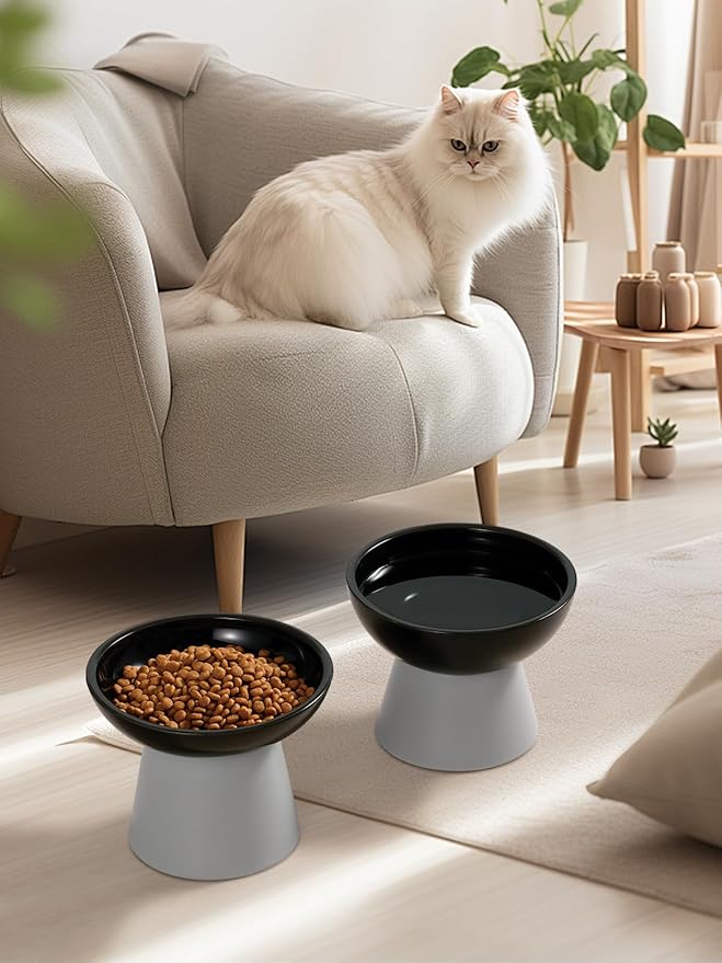 LoeJan Elevated Cat Food and Water Bowls Set, Extra Wide and Raised Ceramic Feeder, Anti-Vomit Whisker-Free Pressure Feeding Bowl for Kittens Adult Small Dogs(Black, 2 Pack)