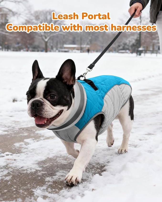 Dog Coat for Small Dogs, Adjustable Dog Jackets for Cold Weather, Reflective Winter Coat with Built-in Harness, Snowsuit Fits Dogs 7-14 lbs and Up, Size S Blue