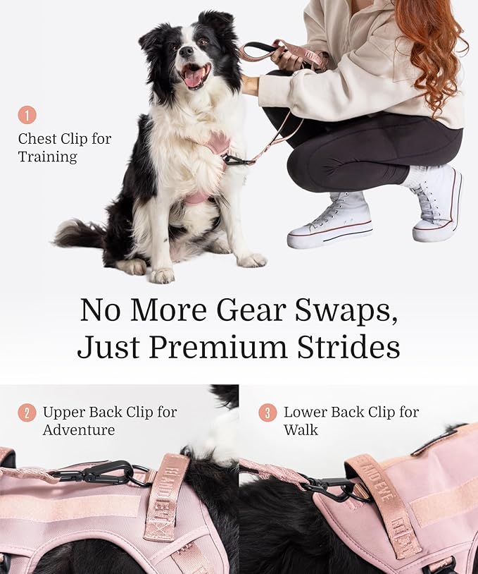 2025 New Edition, Fei & Eve Classic Dog Harness - Quick-Release Buckles | 3-Point No-Pull Control | Heavy-Duty 900D Nylon | Dual Safety Handles | Breathable Mesh | Adjustable Fit | X-Large, Pink