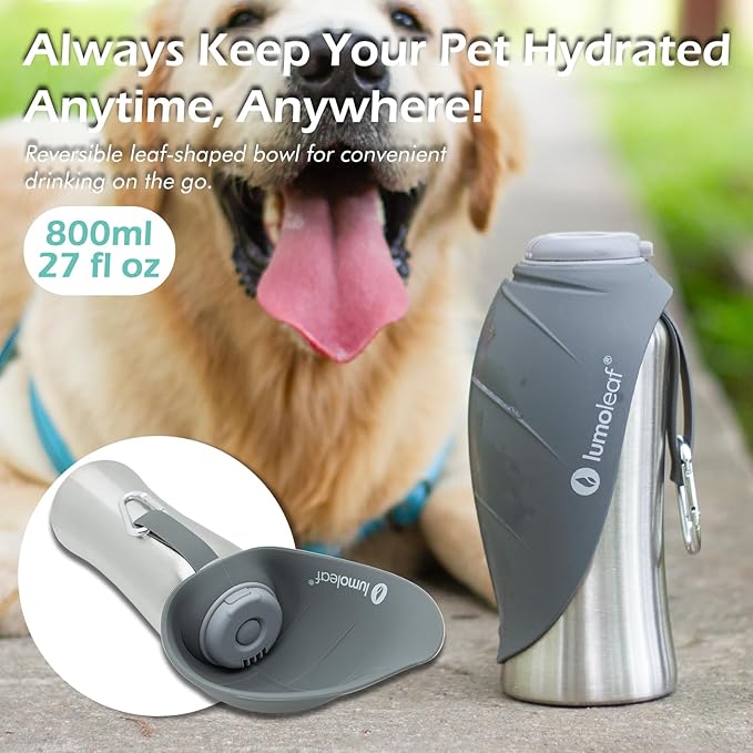 Stainless Steel Dog Travel Water Bottle — 27oz, Portable Bowl, Walking & Hiking (Grey)