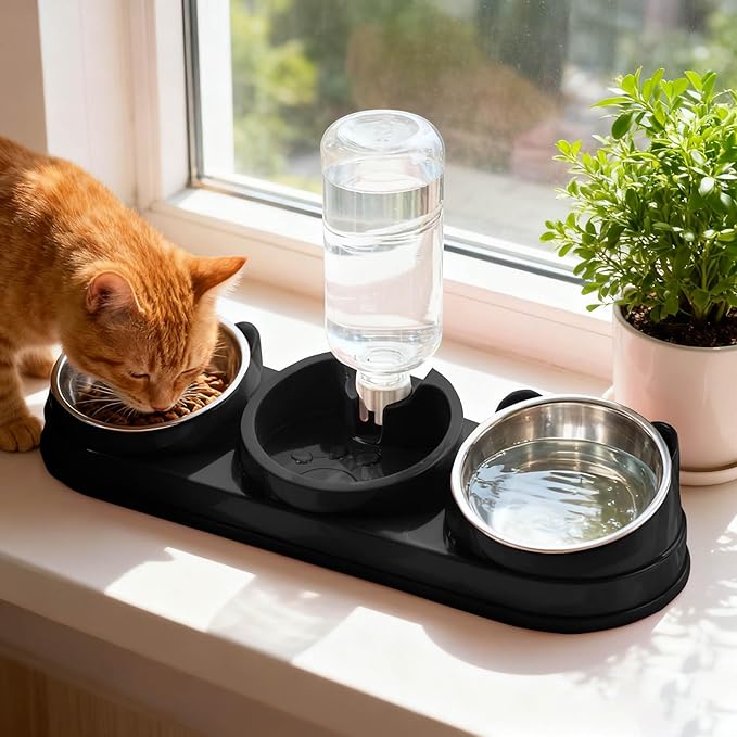 Elevated Cat Bowl Set, 15° Raised Cat Food and Water Bowl with Dispenser, Pet Dishes for Indoor Cats, Small Medium Dogs & Rabbit Feeding, Anti-Vomiting, Slow Feeder (Black)