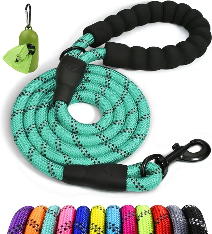 Taglory Rope Dog Leash 5 FT with Comfortable Padded Handle, Highly Reflective Threads Leash for Medium Large Dogs, 1/2 inch, Turquoise