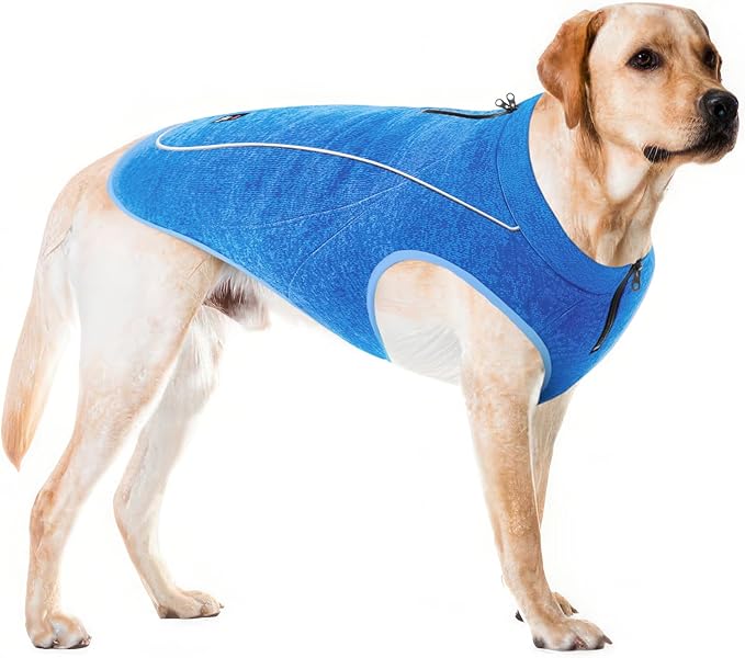 Insulated Fleece Sweater for Dogs | Lightweight Warm Dog Vest | Zipper Port for Harness | Cold Weather Winter Jacket | Rain Snow Repellant Coat | Adjustable for Small Medium Large Male Dogs (Blue/L)