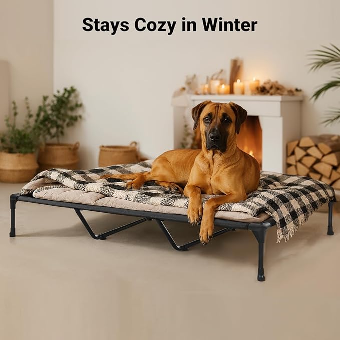 Veehoo Outdoor Elevated Dog Bed Large Sized Dogs, XXL Cooling Raised Dog Cots Beds Training Platform Off Ground Hammock with Breathable Mesh, No-Slip Feet, 59"x37.5", Black