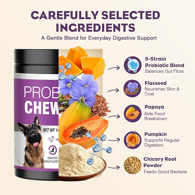 Probiotics for Dogs 200pcs Dog Probiotics for Digestive Health Digestive Enzymes and Prebiotic, Probiotic Chews for Dogs Support Gut Health, Relieve Diarrhea, Itchy Skin, Enhance Immunity