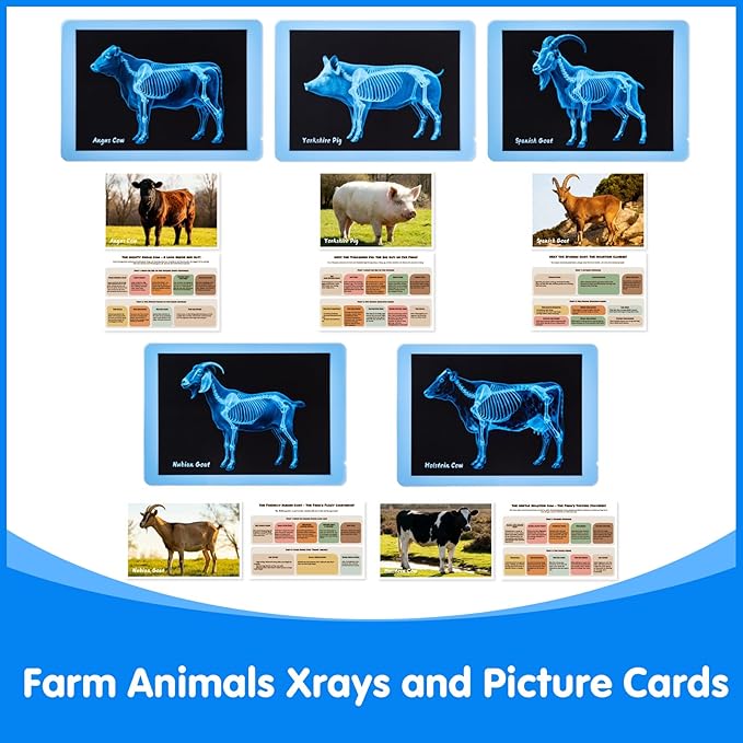 Farm Animal Xrays – 10 Pcs Animal Science Kit for Kids, Light Table Accessories for Vet Role Play & Preschool Learning