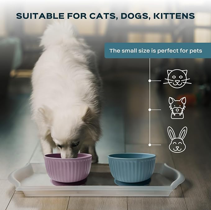 Cat Bowls with Suction Cup 400ml with Silicone Lid — Elevated Silicone Pet Dish with Non-Slip Bottom for Dry Food, Wet Food and Water — Silicone Water Bowl for Small Dog, Rabbit, Kittens (Light Grey)