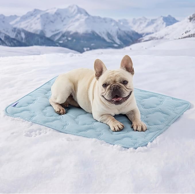 LE SURE Dog Cooling Mat for Medium Dogs - Q-Max>0.5 Breathable Thin Cool Crate Pad for Puppy with Chill Fiber and Innovative Mesh Base Design, Portable Washable Pet Kennel Mat for Summer, 29x21,Blue