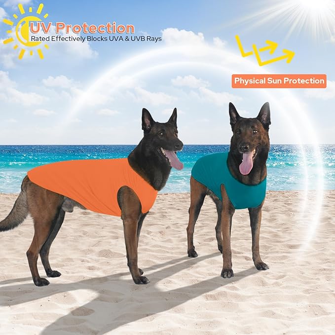 2 Pack Dog Shirts, Ice Pet Vest Dog Clothes for Instant Cooling, Lightweight Breathable Sleeveless T-Shirts for Large Dogs, Peacock Blue+OrangeRed (M)