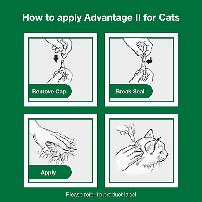 Advantage II Large Cat Vet-Recommended Flea Treatment & Prevention | Cats Over 9 lbs. | 6-Month Supply