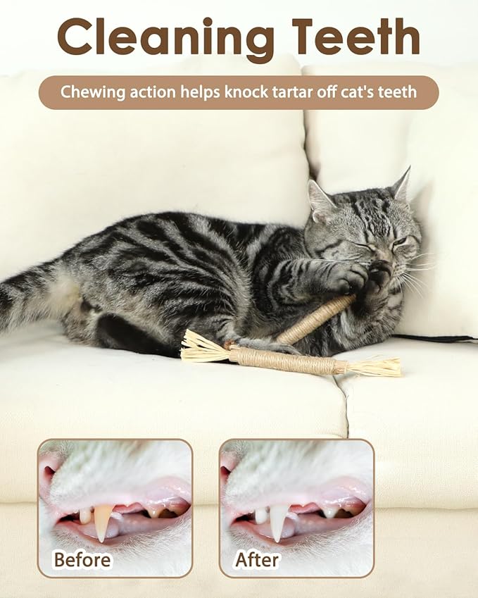 Tocirelo Silvervine Sticks for Cats & Cat Toys for Bored Indoor Adult Cats