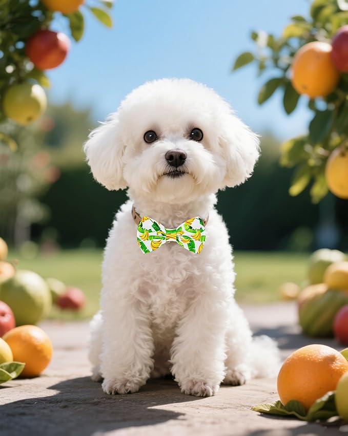 PET SHOW 10 Pack Fruit Small Dog Bow Ties Sliding Collar Attachments Puppy Cats Strawberry Bowties for Medium Dogs Avocado Bowknots Holiday Party Pet Grooming Accessories(Small)