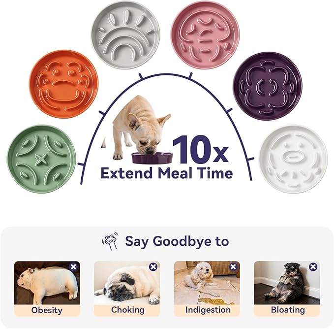 Ceramic Slow Feeder Dog Bowl - Feeding Dish for Fast Eaters - Maze Dog Bowl to Slow Down Eating - Ideal Food Control Dish for Small Breeds - 0.8 Cups (80g) - 6.3 Inch - White