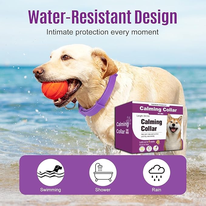 Calm Collar – 60-Day Pheromone Relief + Stress-Free Dog