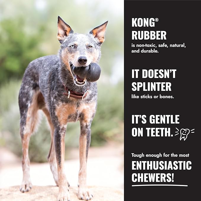 KONG Extreme Donut Dog Toy – Toughest Durable Natural Rubber Chew Toy for Power Chewers – Safe on Teeth & Gums, Fun Bounce & Roll for Indoor and Outdoor Play (Small/Medium)